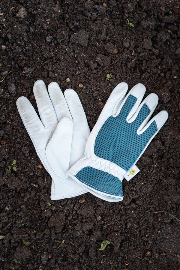 Blød læder havehandske. - Blomsterverden